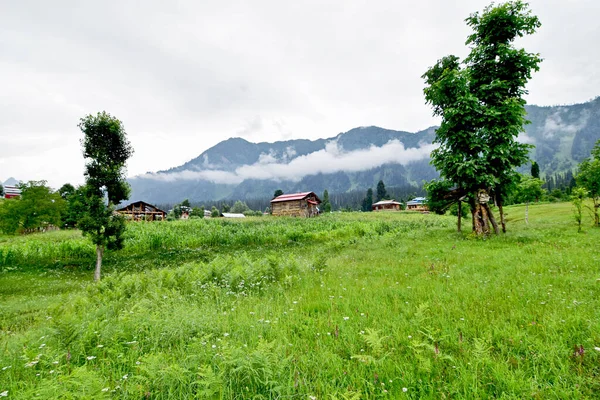 Ett Fascinerande Grönt Land Med Små Hus Och Berg Bakgrunden — Stockfoto