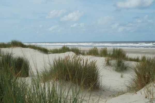 Schöne Aufnahme Eines Strandes Der Von Den Wellen Des Meeres — Stockfoto