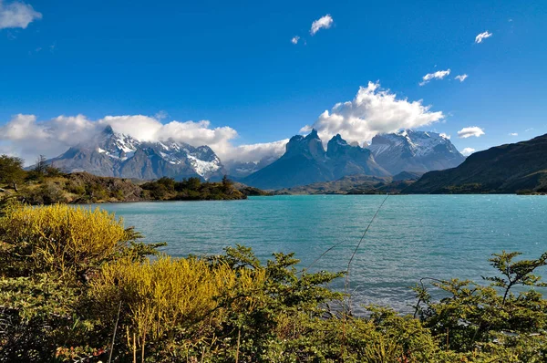 Morgon Vid Sjön Lago Pehoe Torres Del Paine Nationalpark Patagonien — Stockfoto