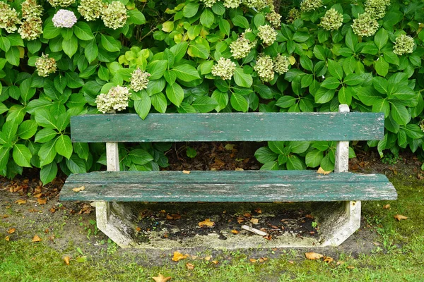 View Old Wooden Bench Garden — Stock Photo, Image