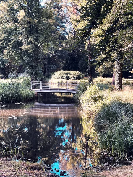 Eine Vertikale Aufnahme Einer Holzbrücke Kanal Zwischen Hohen Bäumen — Stockfoto