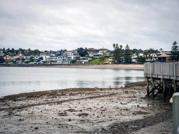 ニュージーランドのオークランド 2021年7月7日 バックランズ ビーチからハーフムーンベイ マリーナ ウッド パスウェイの展望 — ストック写真
