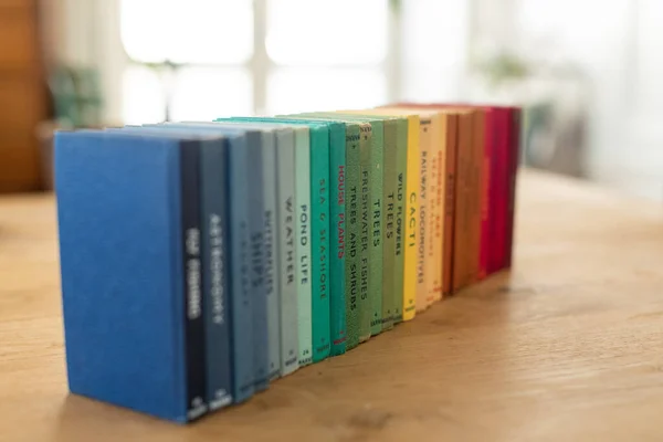 Closeup Stacked Colorful Books Different Fields Table Blurry Background — Stock Photo, Image