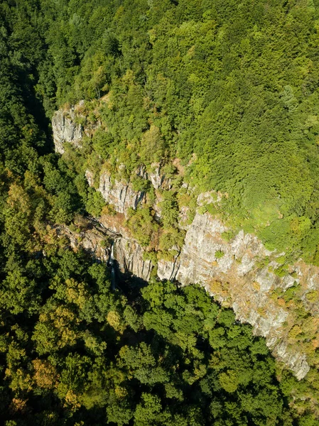 Vzdušný Pohled Zelené Útesy Pokryté Stromy — Stock fotografie