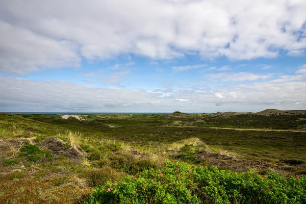 Krajina Louce Pokryté Trávou Pod Modrou Zataženou Oblohou Venkově — Stock fotografie