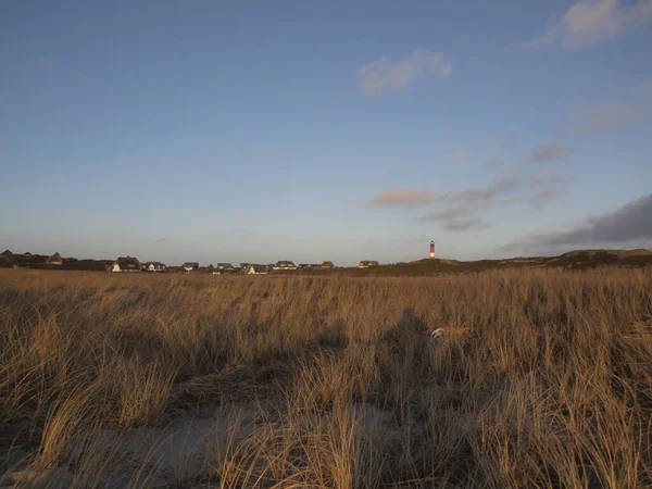 Vasto Paisaje Campo Atardecer Isla Sylt Alemania — Foto de Stock