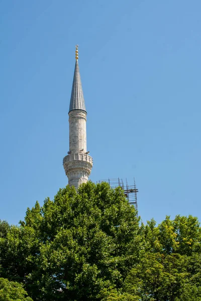 Plano Vertical Cúpula Afilada Pedregosa Mezquita Detrás Árboles Verdes Bajo —  Fotos de Stock