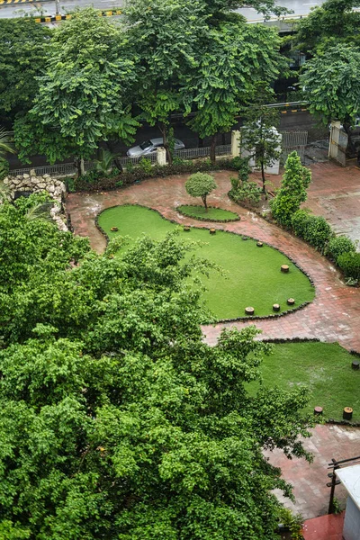 房子院子里的一个漂亮的绿色花园 有装饰过的草坪和树木 — 图库照片