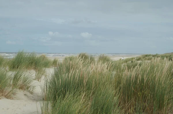 Schöne Aufnahme Eines Strandes Der Von Den Wellen Des Meeres — Stockfoto