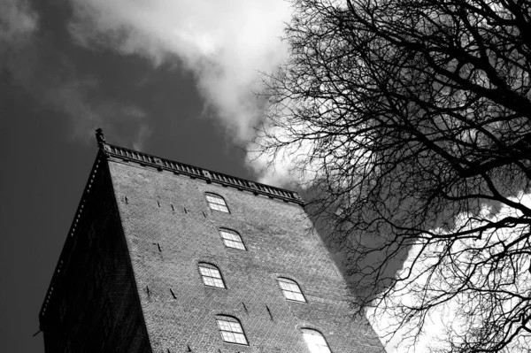 Una Toma Monocromática Bajo Ángulo Edificio Árbol Desnudo Ramas Contra —  Fotos de Stock