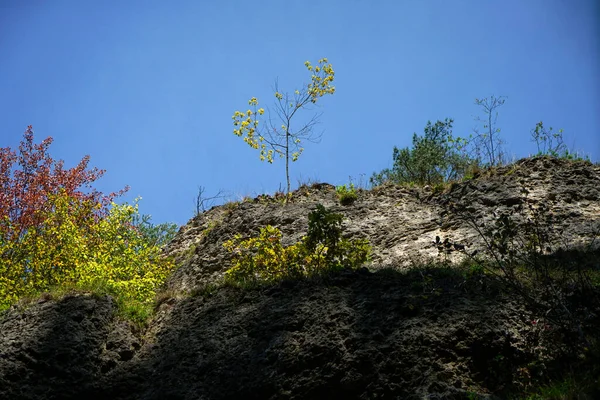 蓝色晴朗的天空下 是一座阳光明媚的岩石山 植物和野草交织在一起的垂直照片 — 图库照片