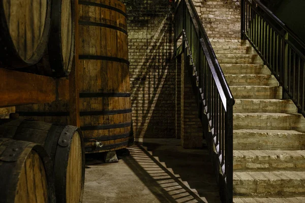 Une Grande Cave Pour Réservation Vin Intérieur État Sao Paulo — Photo