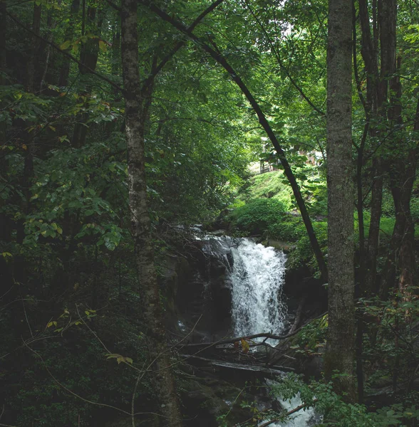 Ein Malerischer Blick Auf Einen Wasserfall Wald — Stockfoto