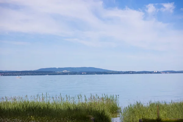 Вид Озеро Зеленою Травою Березі — стокове фото