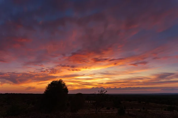 Den Vackra Utsikten Över Orange Solnedgång Med Silhuetter Träd — Stockfoto