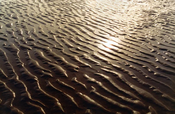 太陽の下の湿った砂のパターン — ストック写真