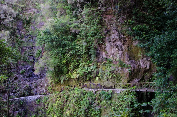 Ein Schöner Blick Auf Eine Brücke Einer Felswand Levada Madeira — Stockfoto