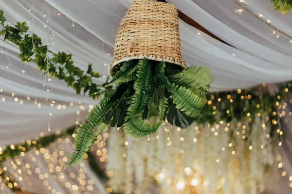 Selective Focus Shot Ceiling Decorative Potted Ferns Lights — Stock Photo, Image