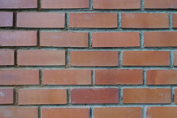 Closeup Shot Brick Wall Texture — Stock Photo, Image