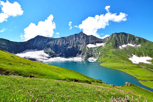 Une Vue Imprenable Sur Champ Vert Avec Lac Rochers Enneigés — Photo