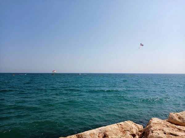 明るい空の下で海の海岸のクローズアップショット — ストック写真