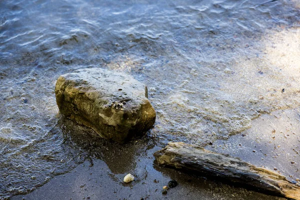 Closeup Small Rock Piece Wood Lying Wet Shore — Stock Photo, Image