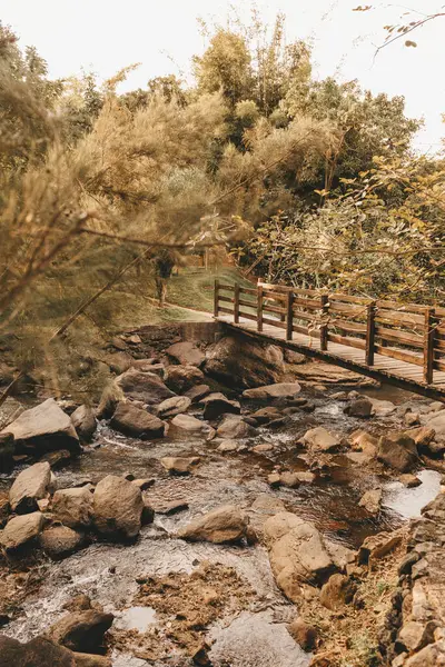 Drewniany Most Nad Rzeką Jesiennym Lesie — Zdjęcie stockowe