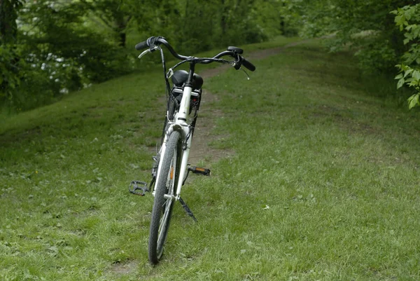 Vélo Sur Champ Luxuriant Herbe Entourée Beaux Arbres Verts Dans — Photo