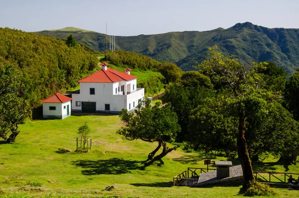 Ett Landskap Vita Byggnader Det Gröna Fältet Fanal Madeira — Stockfoto