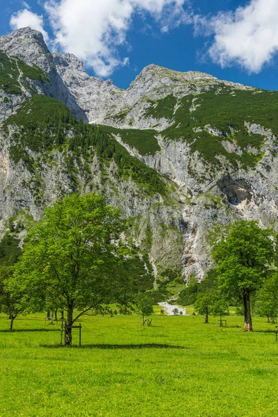 Beau Champ Paysage Sous Les Montagnes — Photo