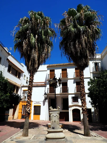 Cliché Vertical Deux Palmiers Poussant Dans Une Cour Bâtiment Parois — Photo
