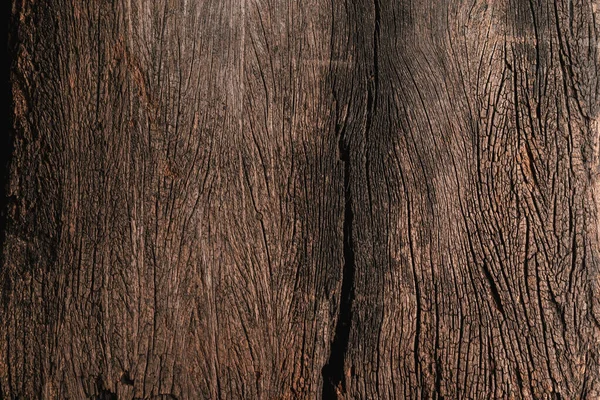 나무의 갈라진 표면을 클로즈업 — 스톡 사진