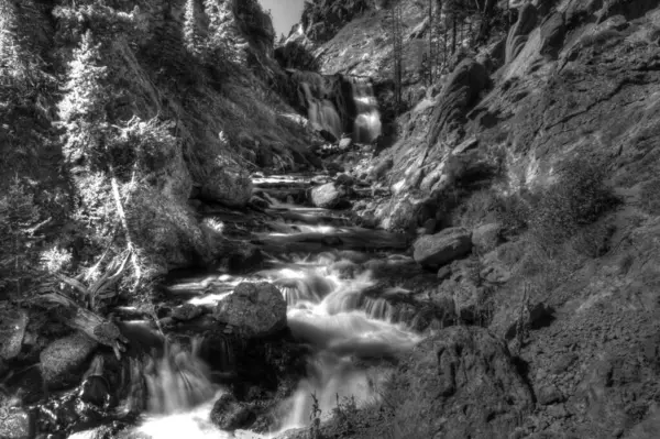 Die Graustufenaufnahme Des Flusses Umgeben Von Felsen Und Bäumen — Stockfoto