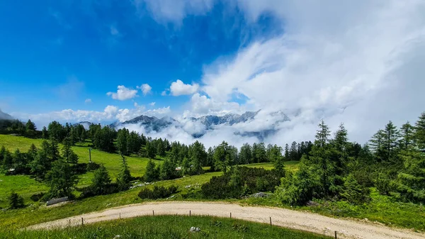 Пейзаж Дороги Через Прекрасний Ліс — стокове фото