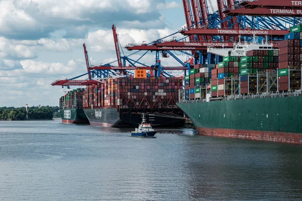 Hamburg Deutschland August 2021 Die Drei Großen Containerschiffe Theseus Ever — Stockfoto