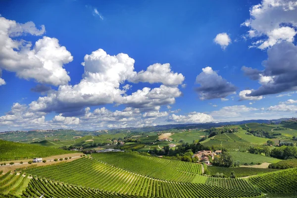 Die Schöne Aussicht Auf Die Weinberglandschaft Des Piemont Langhe Roero — Stockfoto