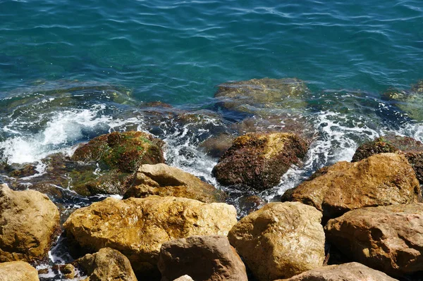 Крупним Планом Вид Камені Зеленого Кольору Воді Пляжний Відпочинок Водяні — стокове фото