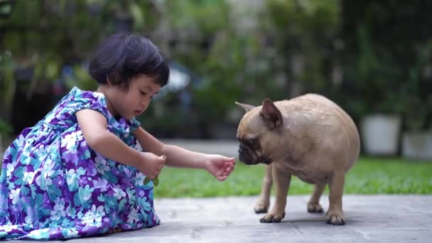 Küçük Kız Parkta Köpekle Oynuyor — Stok video