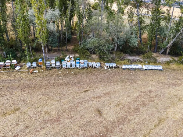 Včelaři Sklízející Med Úlů — Stock fotografie