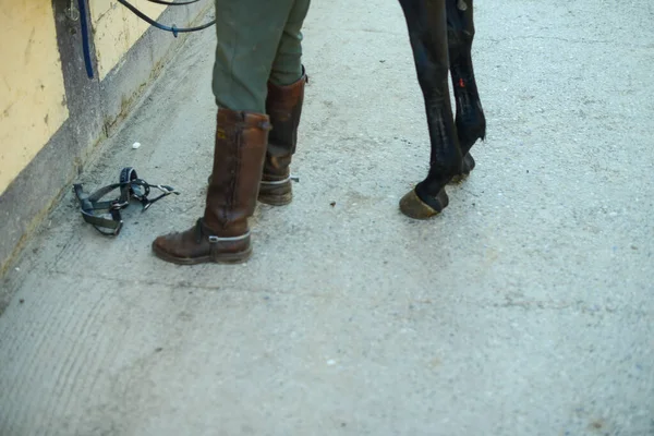 Homem Tirar Cavalo Estábulo Para Montá Num Rancho — Fotografia de Stock