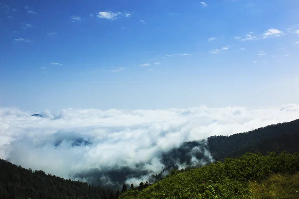 Ein Faszinierender Blick Auf Die Berglandschaft Mit Grünen Pflanzen Und — Stockfoto