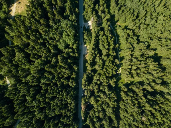 Αεροφωτογραφία Ενός Δρόμου Μέσα Από Πράσινα Δέντρα Ένα Βραχώδες Βουνό — Φωτογραφία Αρχείου