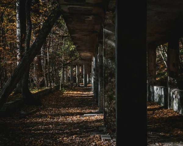 Egy Elhagyatott Épület Egy Erdőben — Stock Fotó