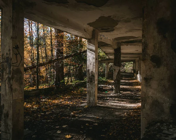 Edificio Roto Abandonado Bosque —  Fotos de Stock