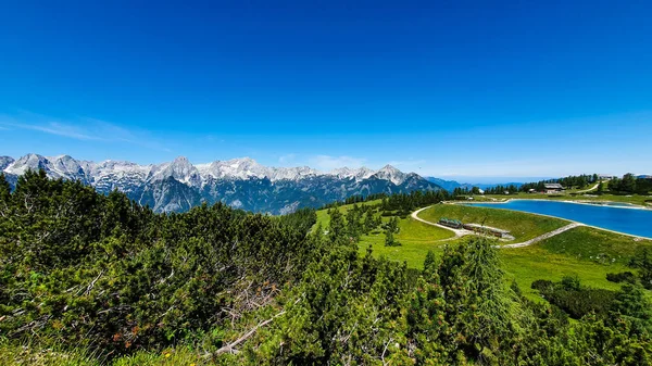 Uno Scenario Tranquillo Una Piscina Margini Una Collina Una Giornata — Foto Stock