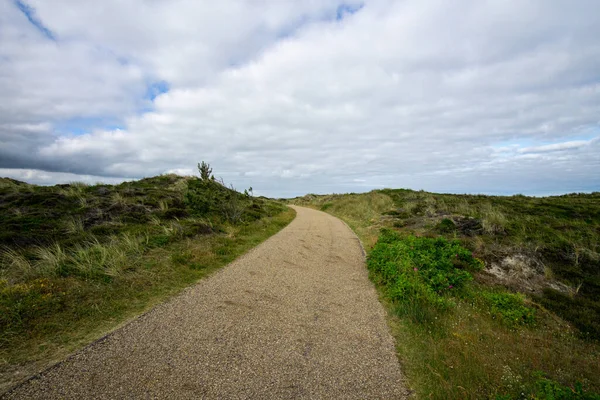 Uma Estrada Estreita Campo Coberto Vegetação Sob Céu Nublado — Fotografia de Stock