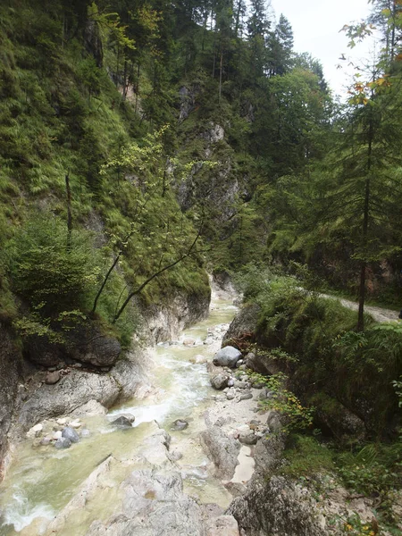 Tiro Vertical Rio Cercado Por Vegetação Parque Nacional Berchtesgaden Alemanha — Fotografia de Stock