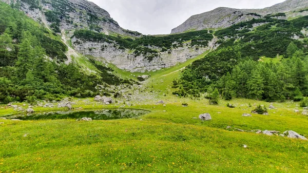 Paisaje Tranquilo Una Piscina Medio Bosque — Foto de Stock