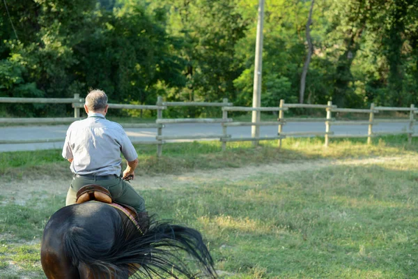 Uma Visão Traseira Macho Montando Cavalo — Fotografia de Stock