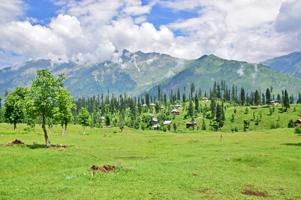 Une Terre Verte Envoûtante Avec Petites Maisons Des Montagnes Arrière — Photo